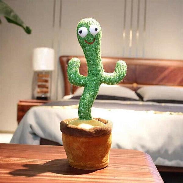 Silly Cactus