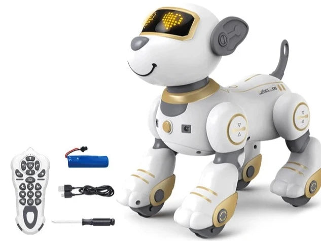 IntelliPet | Roboterhund