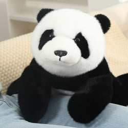 PandaCuddle |  Panda-Stofftier